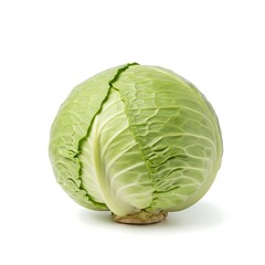 Obraz premium Fresh Green Cabbage Head Isolated on White Background, Vegetable Close-up