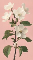 Serene floral art featuring delicate white blossoms and lush green leaves against a soft pink background creating a calming and elegant botanical scene