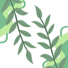 Fototapeta premium floral ornament with transparent background