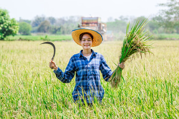 Harvesting rice in a lush field farmer smiling with tools vibrant nature scene bright day dynamic perspective