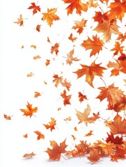 Captivating Autumnal Cascade of Maple Leaves Against a Pristine White Backdrop A Symphony of Fall Colors in Motion