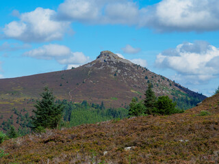 Idyllic view of Mither Tap in the Bennachie Hills, Scotland, showcasing a majestic hilltop surrounded by natural greenery under a bright, clear sky on a picturesque day - Aberdeenshire, UK