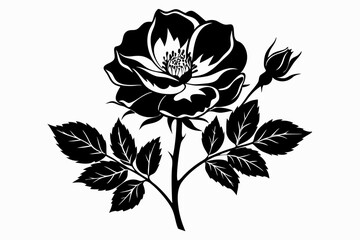 wild prairie rose silhouette line art vector illustration