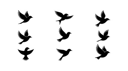 Skyward Silhouette: A mesmerizing formation of birds gracefully ascending, painted in stark black against a simple backdrop, evokes a sense of freedom, serenity, and endless possibilities.