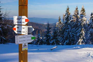 Drogowskazy na Jaworzynie Krynickiej. © Jacek