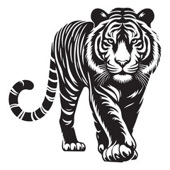 Tiger vector illustration bold stripes majestic walking animal image