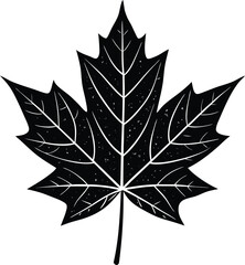 Canadian Maple Leaf Silhouette Vector