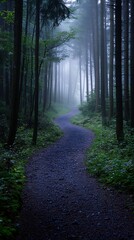 Obraz premium Misty forest with winding path and soft morning light filtering through trees