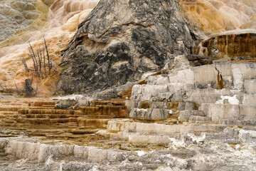 Closeup at Sinter Terraces  in Mammoth Hot Springs Yellowstone National Park
