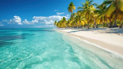 Poster de jardin  Paradise Beach: Crystal Waters, White Sand, and Lush Palm Trees on a Tropical Island  © adibaatmarini