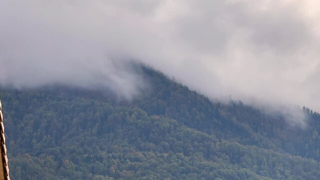 Scenic timelapse of dense mountain forest partially hidden by low, drifting clouds and fog. Tranquil natural landscape showing lush greenery with misty and atmospheric weather conditions