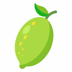 Finger lime Fruits vector art illustration