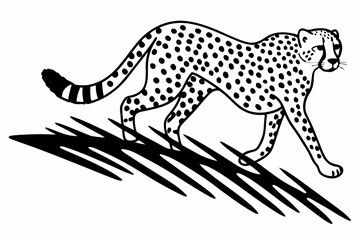 vector illustration of a leopard