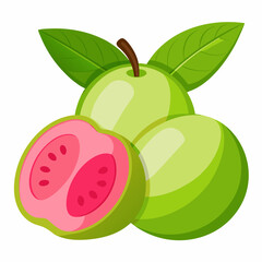 Guava Fruits vector art illustration