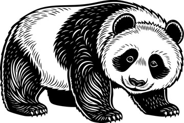 panda bear vector