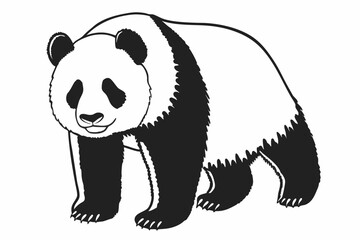 vector illustration of a panda