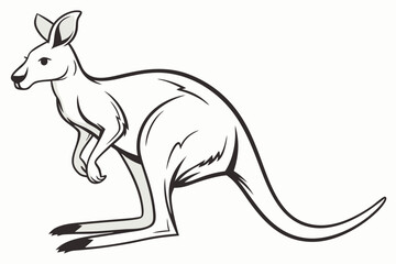 kangaroo vector illustration