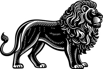 vector illustration of a horse