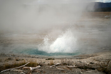 Steaming and bubbling geyser in Yellowstone National Park Wyoming