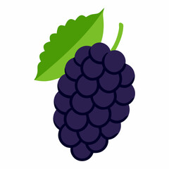 Mulberry Fruits vector art illustration