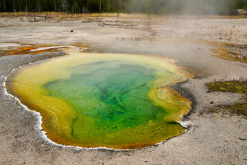 Geyser in Yellowstone National Park Wyoming USA