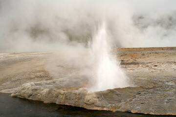 Steaming and bubbling geyser in Yellowstone National Park Wyoming