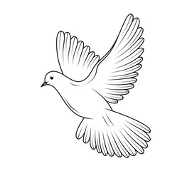 Obraz premium Flying elegant dove drawn with lines, symbol of peace, freedom and love, clip art. Flying bird with detailed feathers on wings and tail, line art. 