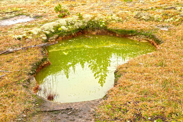 Pool in Yellow Stone National Park with water reflection