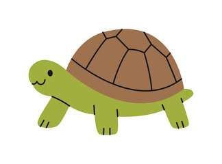 Cute land turtle on white background. Isolated tortoise. Adorable pet, exotic animal in simple style. Domestic or wild reptile character. Zoo, wild nature. Vector flat illustration