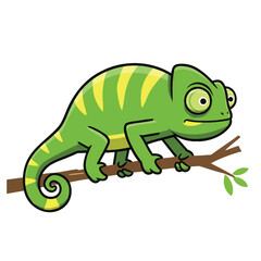 Chameleon on a Branch: A vibrant green chameleon with a distinctive striped pattern perches on a branch, showcasing its remarkable camouflage ability in this captivating illustration.