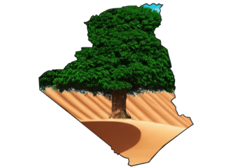 Illustration of algeria map with a tree on top and desert sand at the bottom on a black background