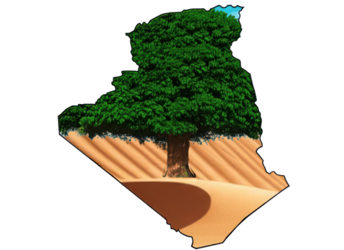 Illustration of algeria map with a tree on top and desert sand at the bottom on a black background
