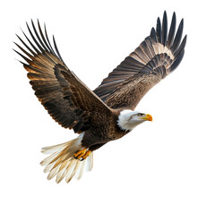 Obraz premium Majestic Eagle Soaring Against Transparent Background for Graphics