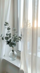 Fresh eucalyptus branches in glass vase on windowsill with white sheer curtains and soft morning sunlight creating peaceful minimalist home atmosphere.