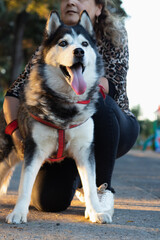 woman caresses her dog in the street