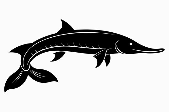 Alligator gar silhouette black vector