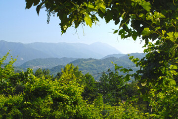 Italien, Anbaugebiet des DOC-Prosecco