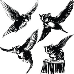 Sugar marsupial fly, or sugar flying posum Silhouette of a sugar glider Sugar glider animal design, illustration, vector with black color, pink background. Sugar glider flies. Monochrome contour vecto