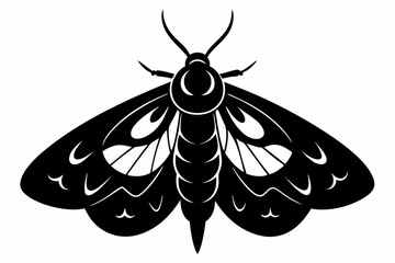 moth silhouette black vector