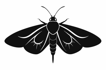 moth silhouette black vector