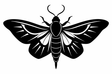 moth silhouette black vector