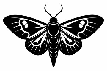 moth silhouette black vector