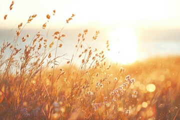 Obraz premium Golden hour illuminates a field of tall grasses and delicate flowers, creating a warm and peaceful atmosphere with bokeh effect.