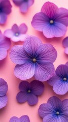 Delicate Hydrangea Blossoms in Shades of Purple and Pink A Floral Symphony of Beauty and Serenity for Springtime Celebrations and Artistic Designs