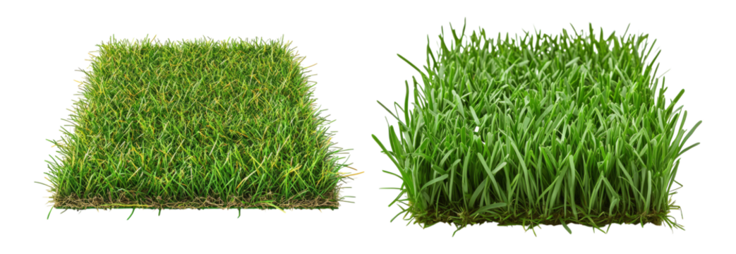 Comparison of Dull and Vibrant Grass Texture for Landscaping Use