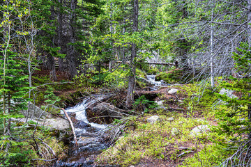 Tyndall Creek at Rocky Mountain National Park.