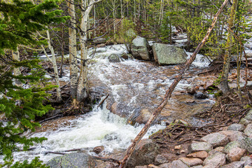 Tyndall Creek at Rocky Mountain National Park.