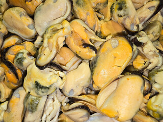 mussel without shell cleaned in a refrigerated counter, close-up. Supermarket. Raw squid, top view.