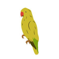 bird, animals