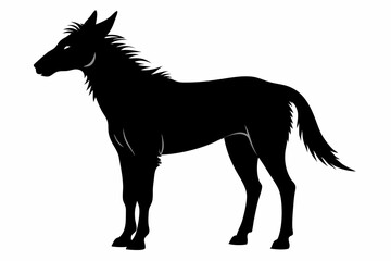 Coloring book silhouette black vector